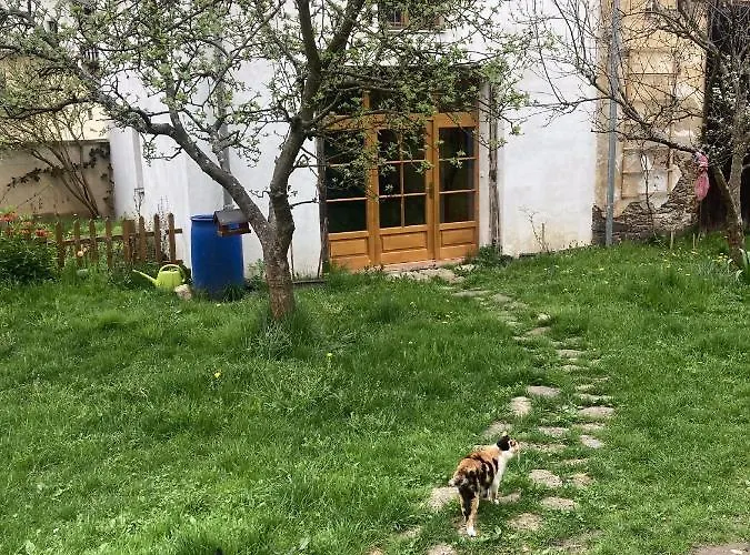 Stare Dekanstvi